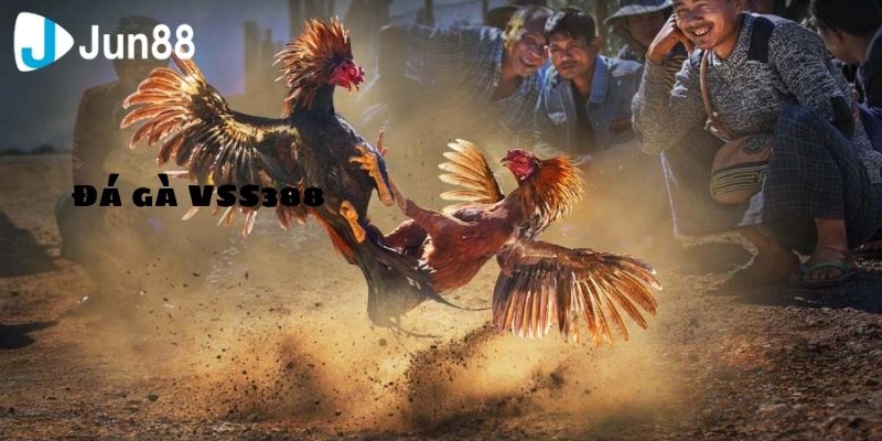 Những điều cần nắm cho người mới
