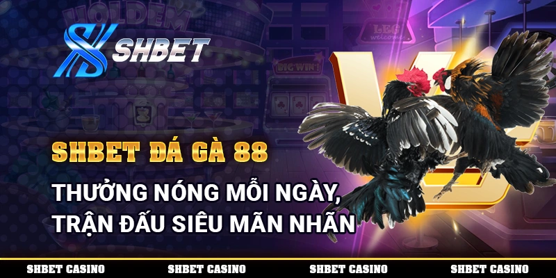 Đá Gà 88